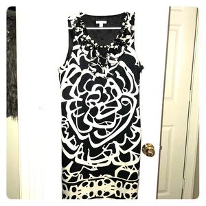 Black and White Floral Dress with Ruffled Collar